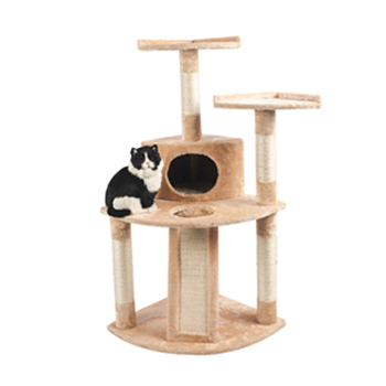 What are the characteristics of cat accessories