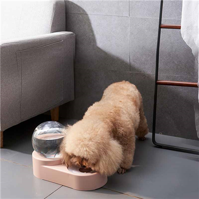 Can dog food be changed frequently among dog supplies