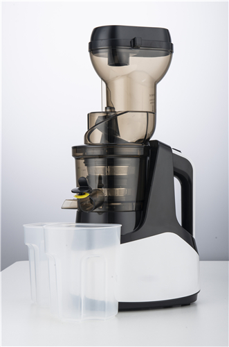 What are the characteristics and technical principles of Slow Juicers