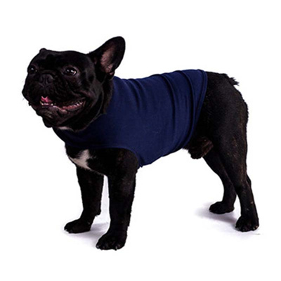 In dog supplies, what should I pay attention to when dressing dogs