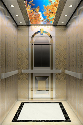 What are the advantages of passenger elevator products from professional companies