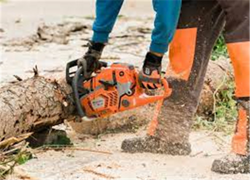 Application guide about best 18 inch chainsaw