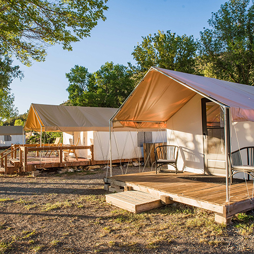 Glamping Tent glam camp