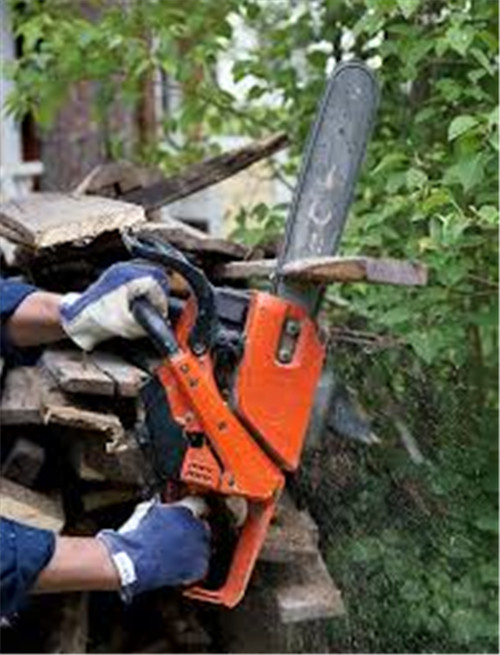 Features and advantages of electric chain saws