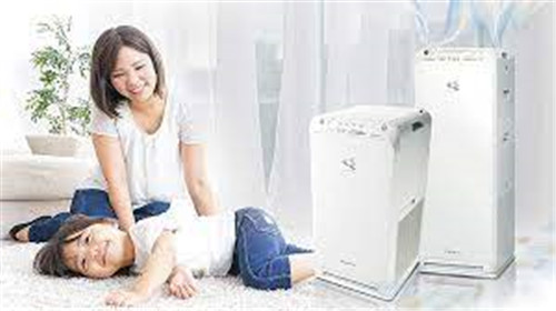 Features of Air Purifier OEM
