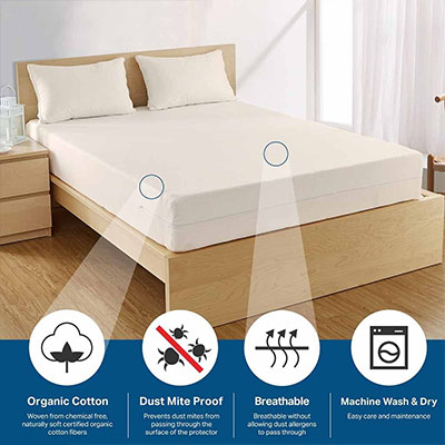 What Is The Best Allergy Mattress Cover