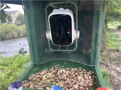 Bird house with a camera-Identifying