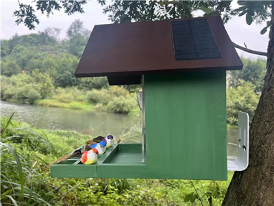 Bird house with a camera-Identifying