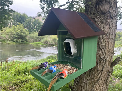 Bird house with a camera-Identifying