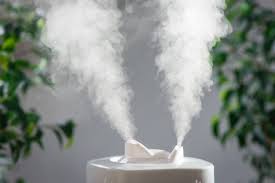 Important Humidifier Guide You Need To Know