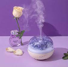 Aromatherapy with Diffuser Air Freshener