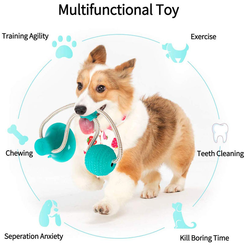 China dogs toys OEM