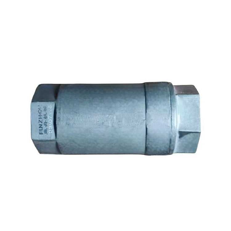 Terex check valve 2356564