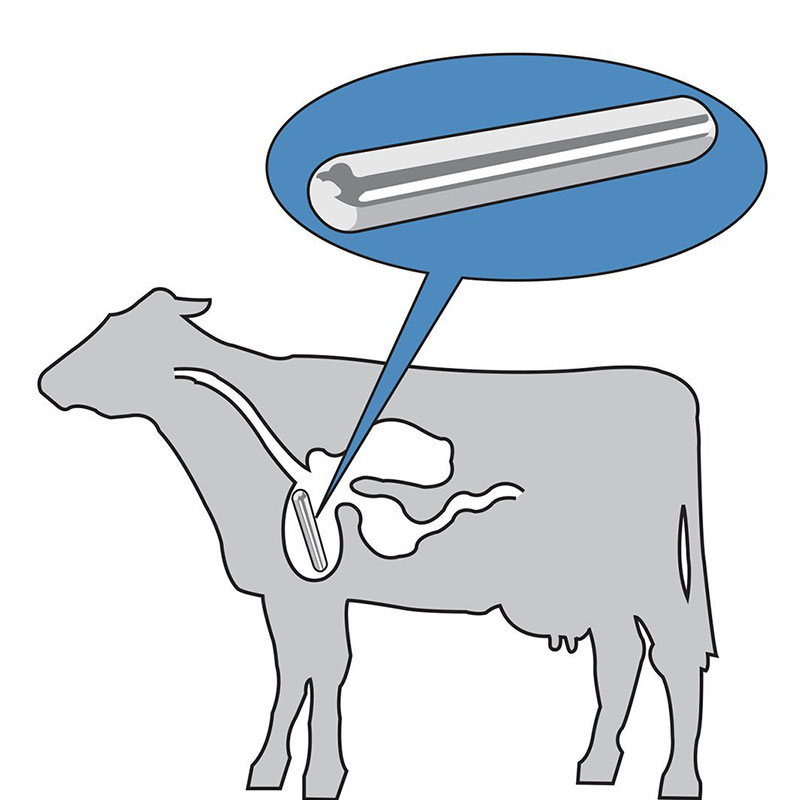Cow Magnet AlNiCo Magnet