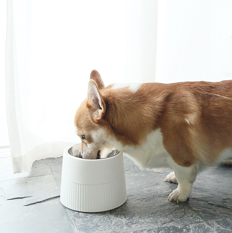 D-F-013-M-W    Combine To Raise The Dog Bowl
