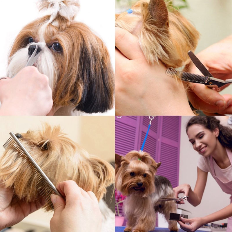 Dogs grooming products in China