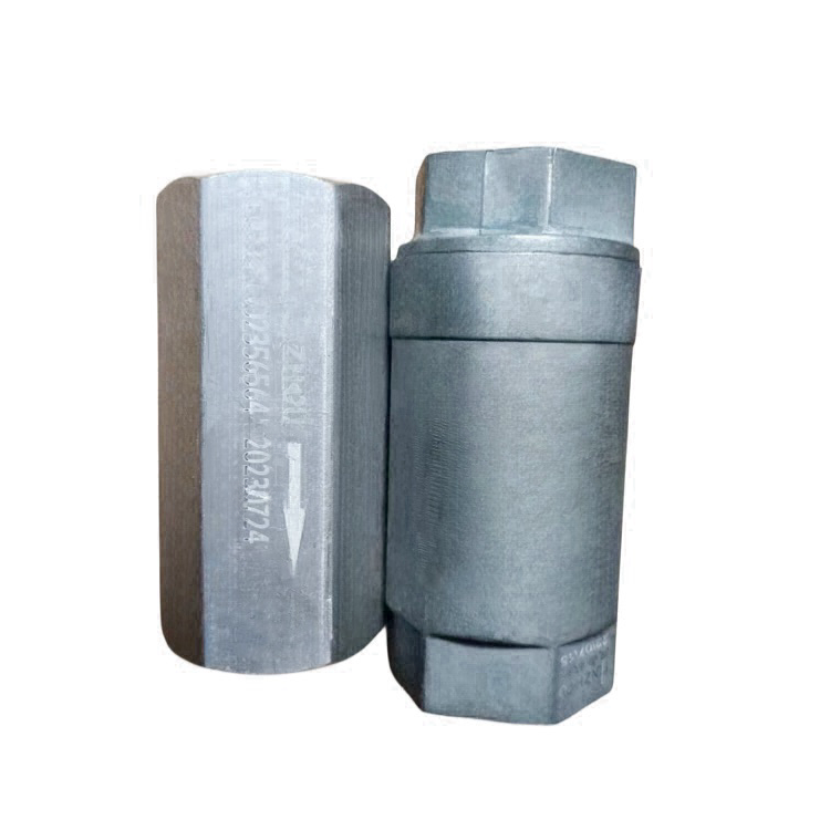 Terex check valve 2356564