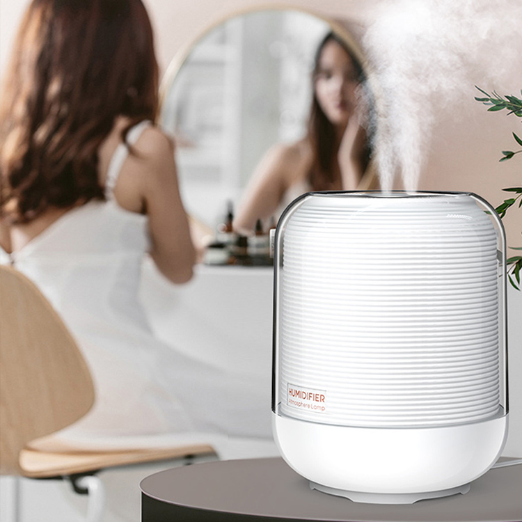 Small Warm Mist Humidifier,Indoor Plant Humidifier,Best Travel Humidifier