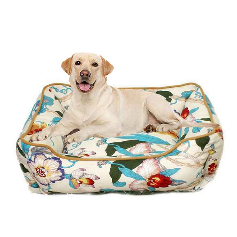 bed for dog 