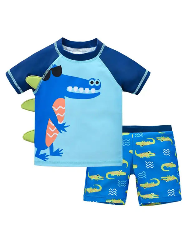 Boys Quick Dry 2 Pieces Swimsuit FG3719