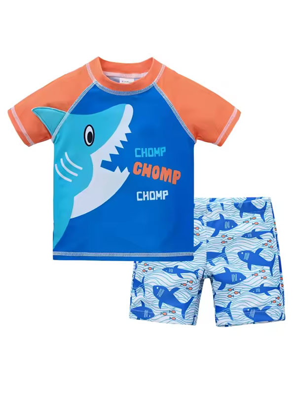 Boys Quick Dry 2 Pieces Swimsuit FG3719