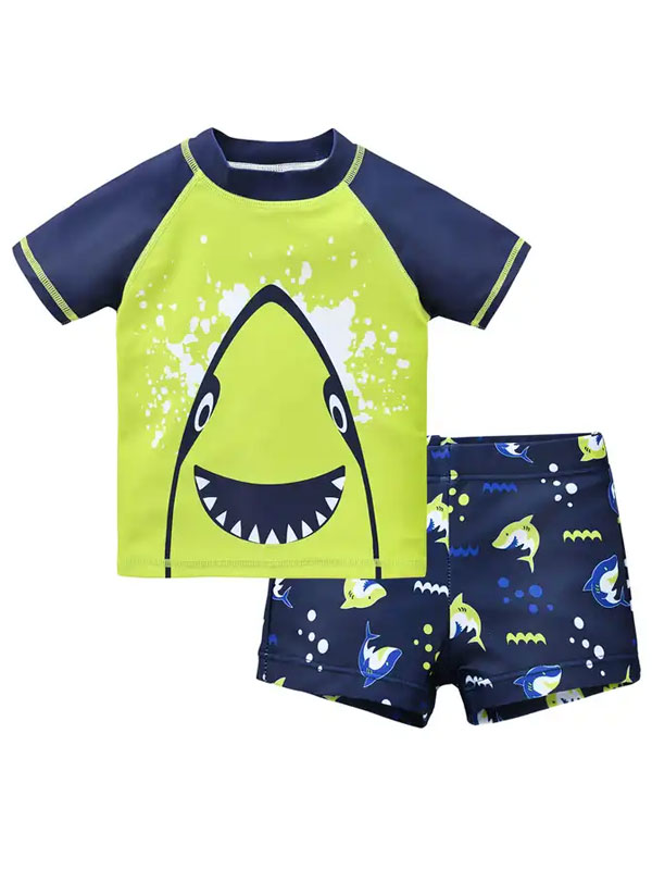 Boys Quick Dry 2 Pieces Swimsuit FG3719