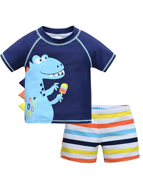 Boys Quick Dry 2 Pieces Swimsuit FG3719