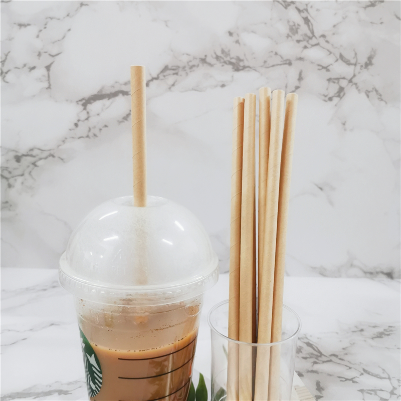 Brown Paper Straw