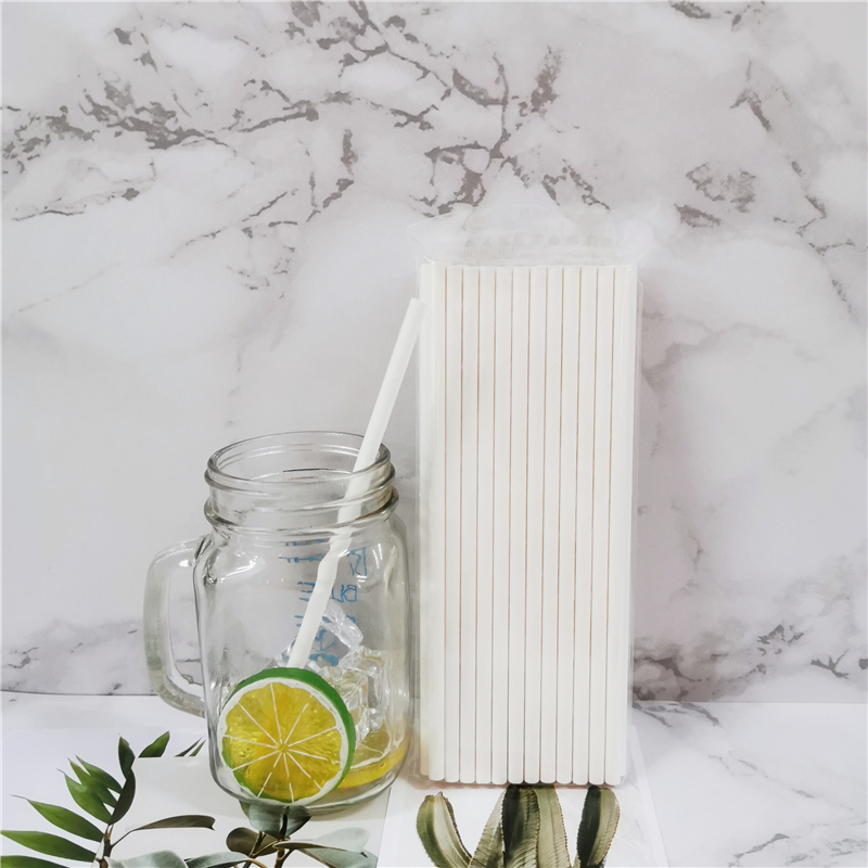 Bulk Packing Paper Straw