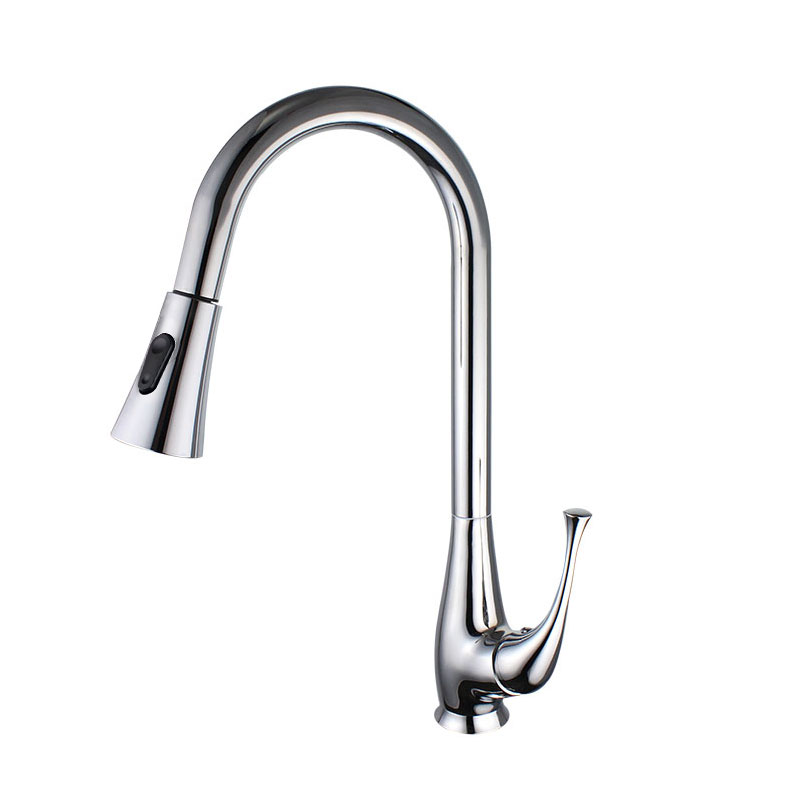 Pull-Out Chrome Kitchen Faucet