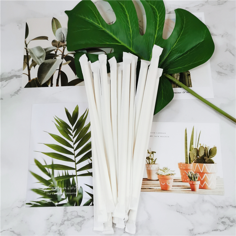 Individual  Packing Paper Straw