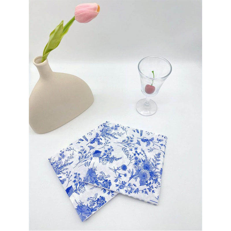 Blue And White Paper Napkins