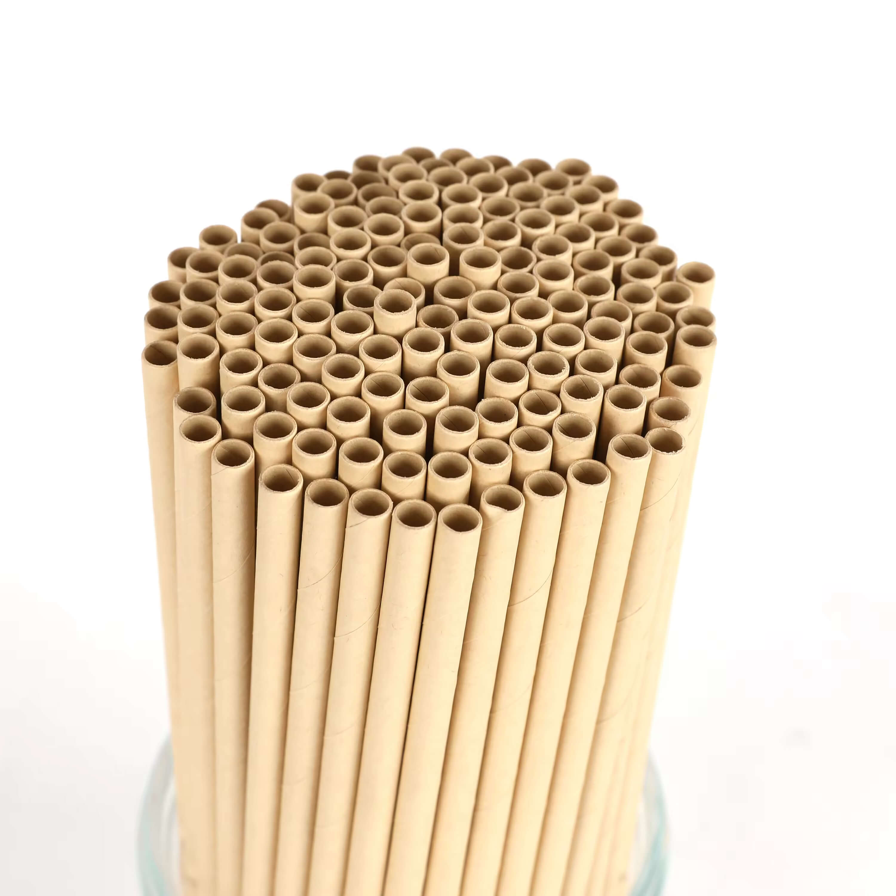 biodegradable disposable straws