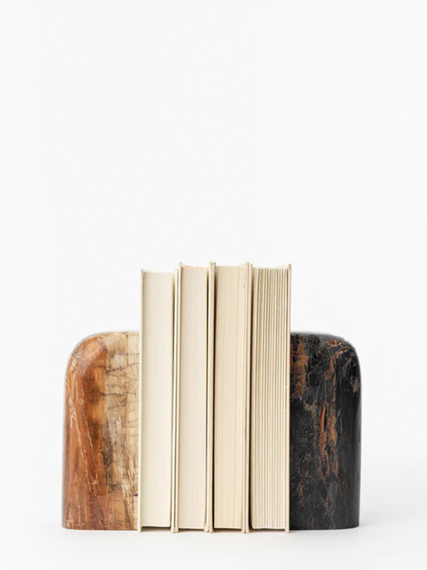 Petrified wood bookends (Set of 2)