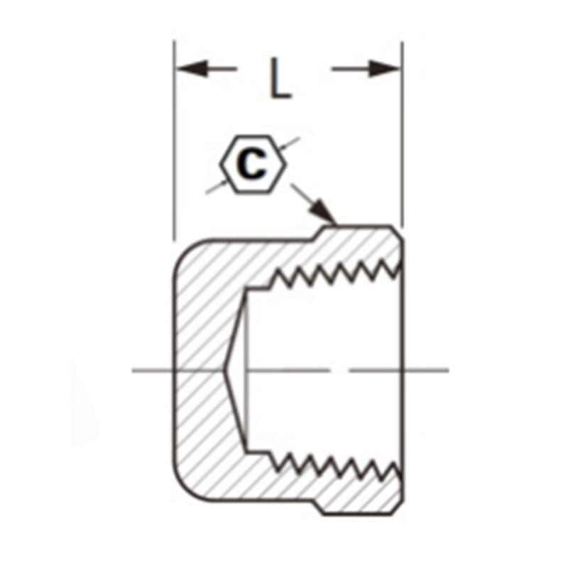 S.A.E pipe fittings CAP