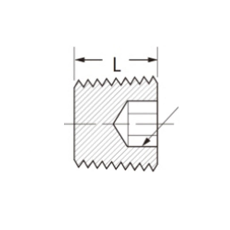 S.A.E pipe fittings Hex Socket Plug