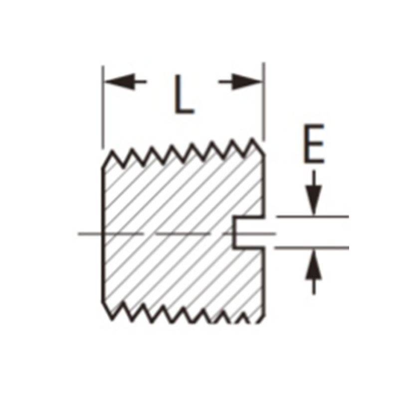 S.A.E pipe fittings Slotted Plug