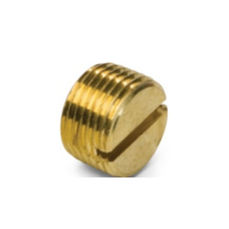 S.A.E pipe fittings Slotted Plug