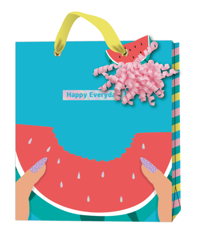 Summer party watermelon gift bag SUM037