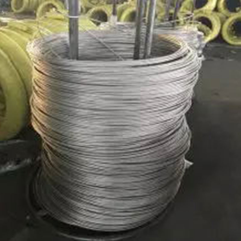 Austenitic Stainless Spring Wires