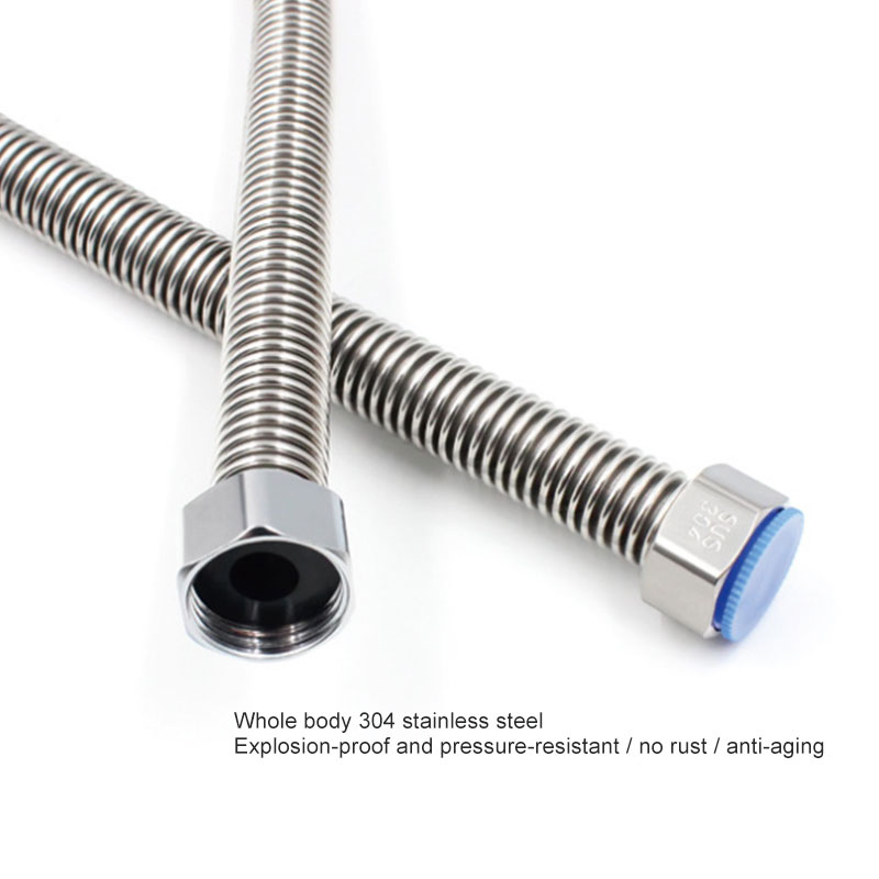 Stainless steel hose