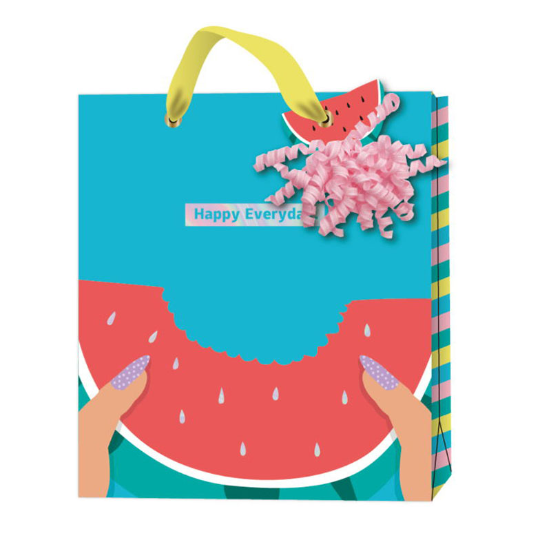 Summer party watermelon gift bag SUM037