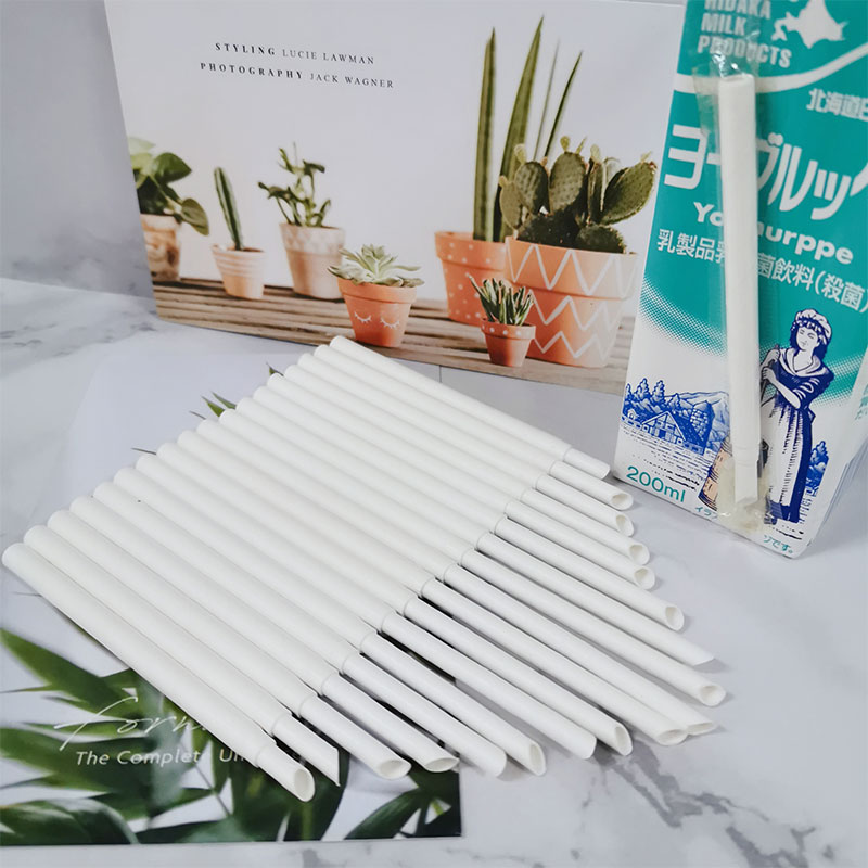 Telescopic Paper Straw