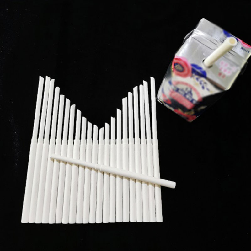 Telescopic Paper Straw