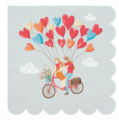 Valentine's Day Hot air balloon love eco-friendly napkin VALE0001