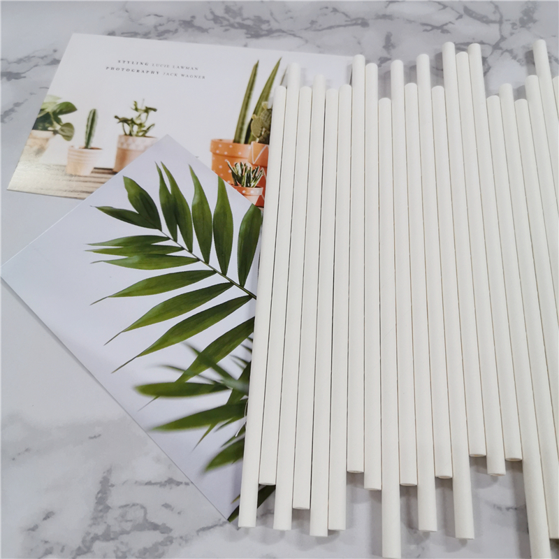 White Color Paper Straw