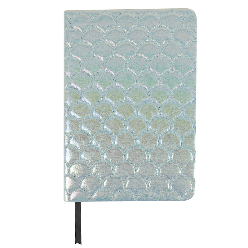 A5 colorful big fish scale notebook RL0017