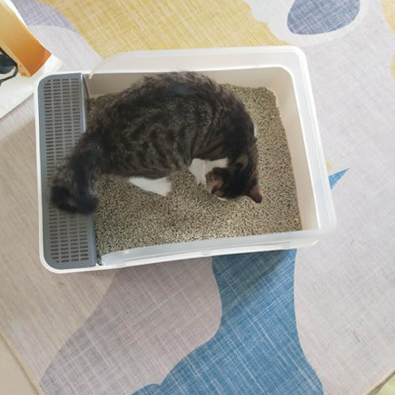 China cat litter box manufacturer
