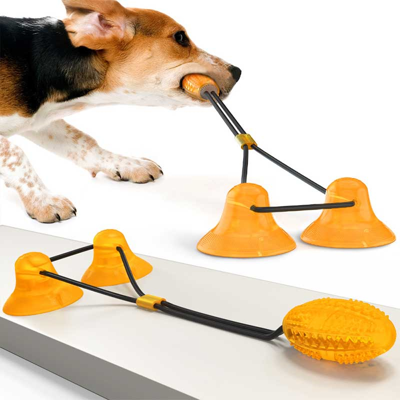 custom print logo dog leash