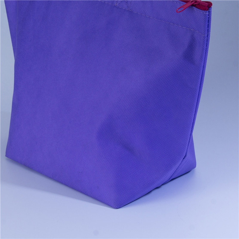 Cooler shopping bag